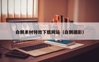 怀化白鹅素材特效下载网站（白鹅摄影）